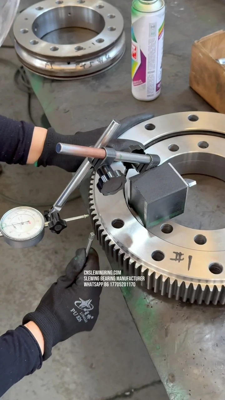 Video dello stabilimento MERYDOM 626