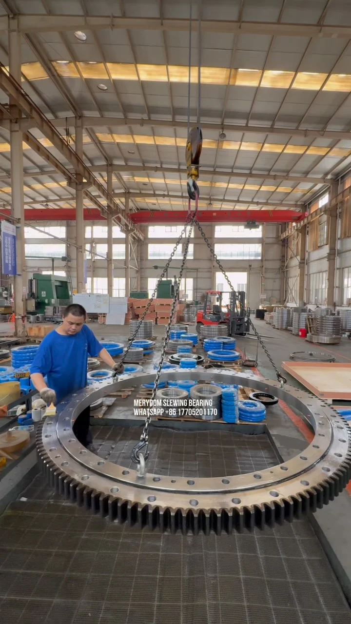 Video dello stabilimento MERYDOM 244