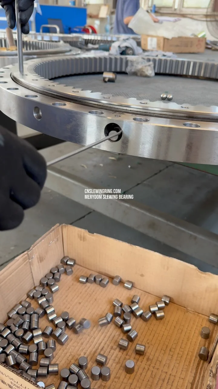 Video dello stabilimento MERYDOM 536
