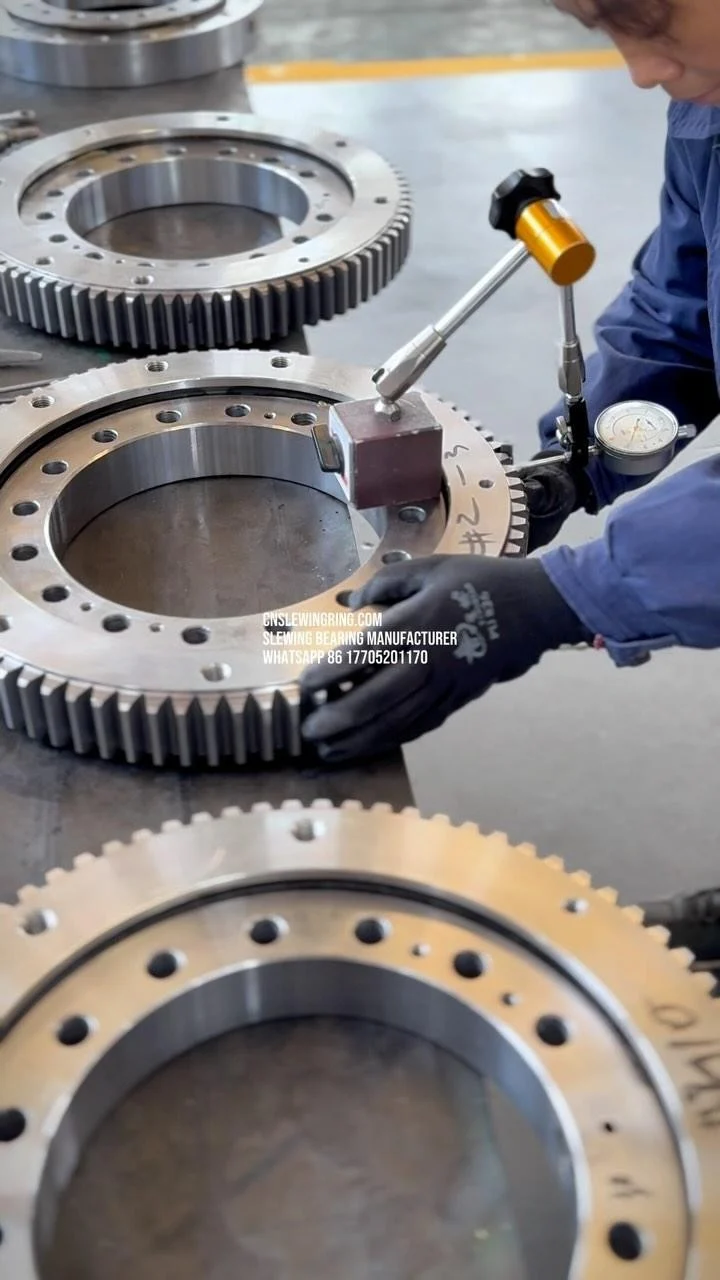 Video dello stabilimento MERYDOM 708