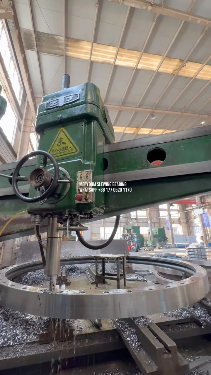 Video dello stabilimento MERYDOM 413