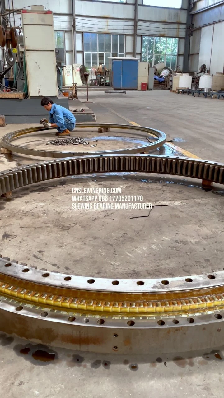 This is a three-row roller structure slewing bearing with a diameter of three meters. We are helping the…