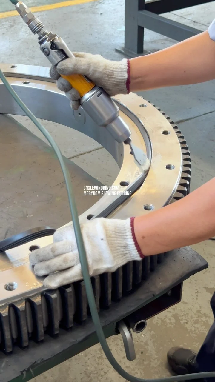 Video dello stabilimento MERYDOM 573