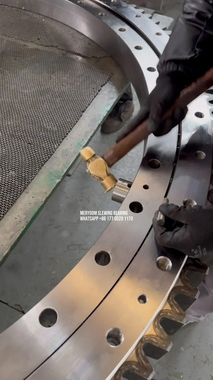 Video dello stabilimento MERYDOM 396