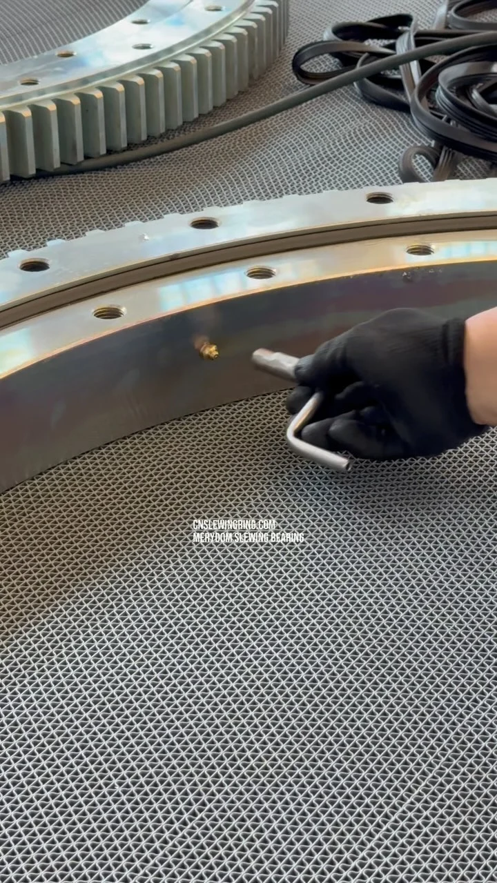 Video dello stabilimento MERYDOM 559