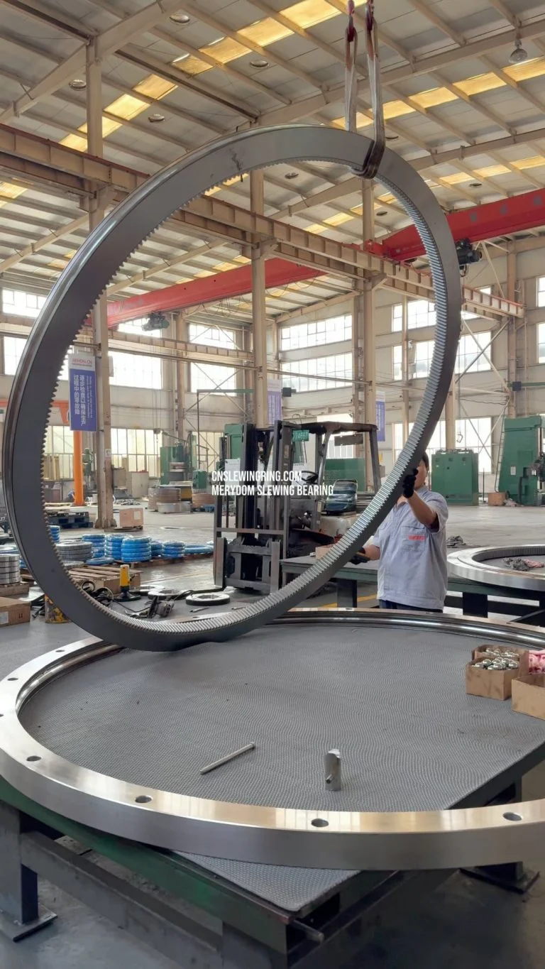 Video dello stabilimento MERYDOM 553
