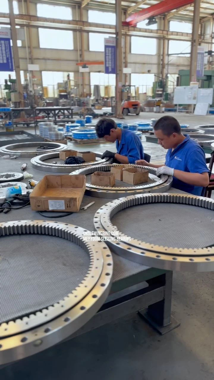 Video dello stabilimento MERYDOM 534