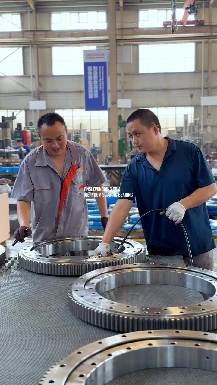 Video dello stabilimento MERYDOM 539