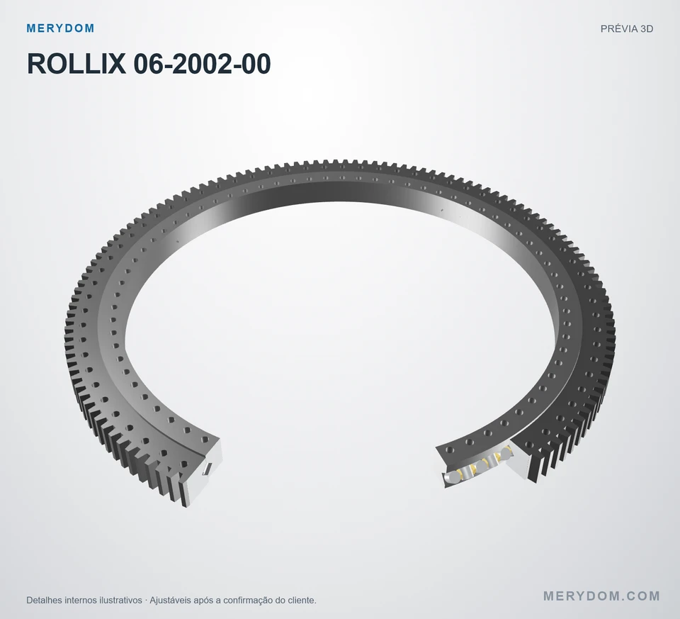 Prévia do modelo 3D do rolamento de giro de substituição MERYDOM para ROLLIX 06-2002-00.