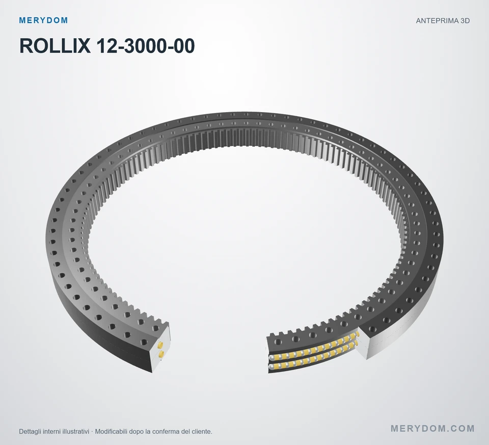 Anteprima del modello 3D del cuscinetto di rotazione sostitutivo MERYDOM per ROLLIX 12-3000-00.