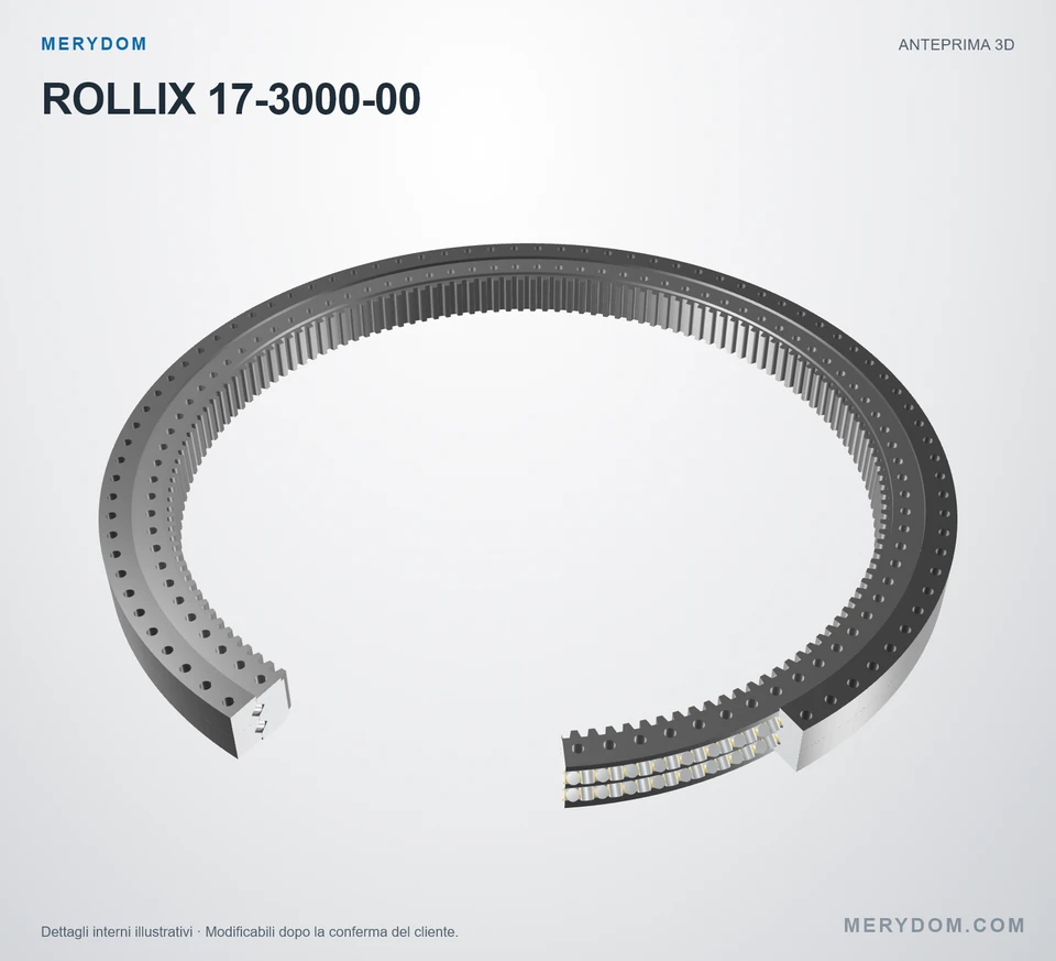 Anteprima del modello 3D del cuscinetto di rotazione sostitutivo MERYDOM per ROLLIX 17-3000-00.