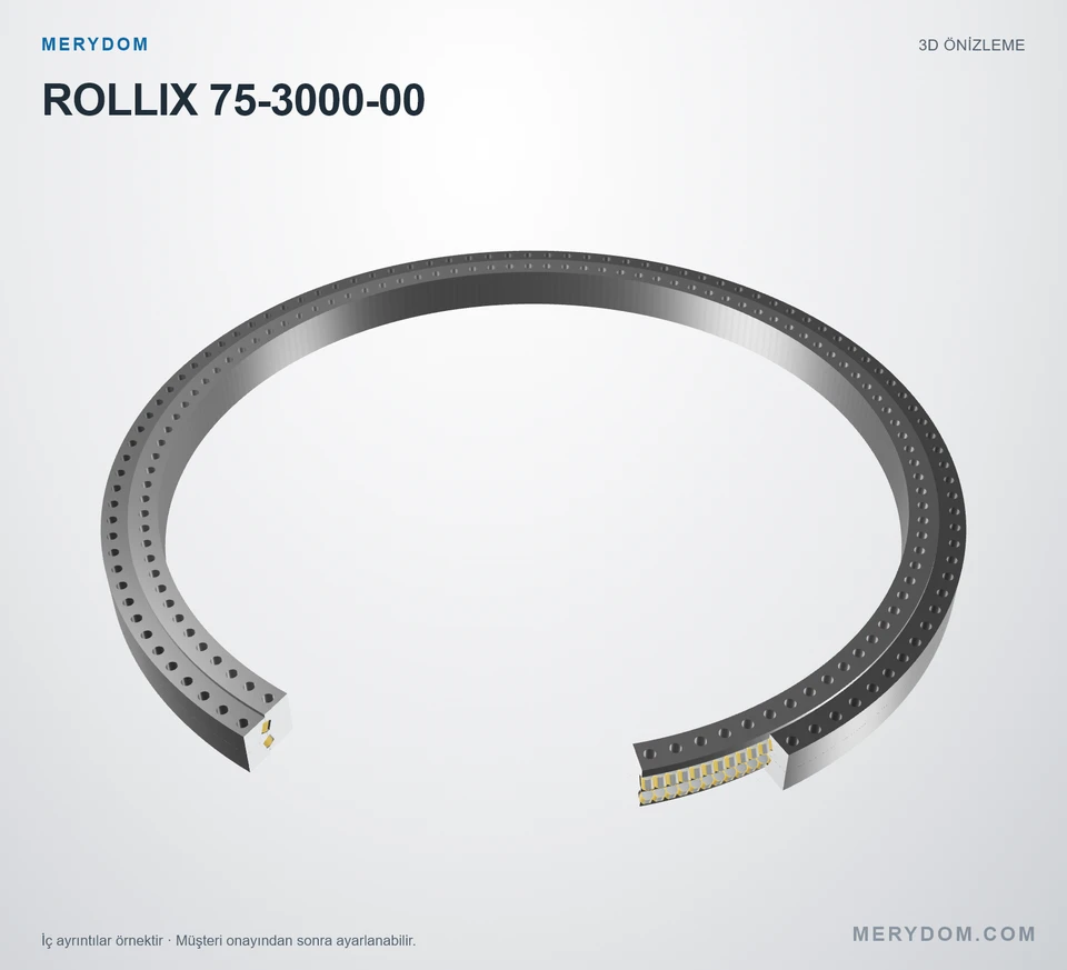 ROLLIX 75-3000-00 için MERYDOM muadil döner tabla rulmanının 3D model önizlemesi.