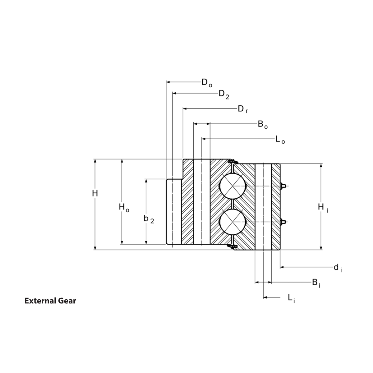 Kaydon Dt Series Dıştan dişli outline drawing