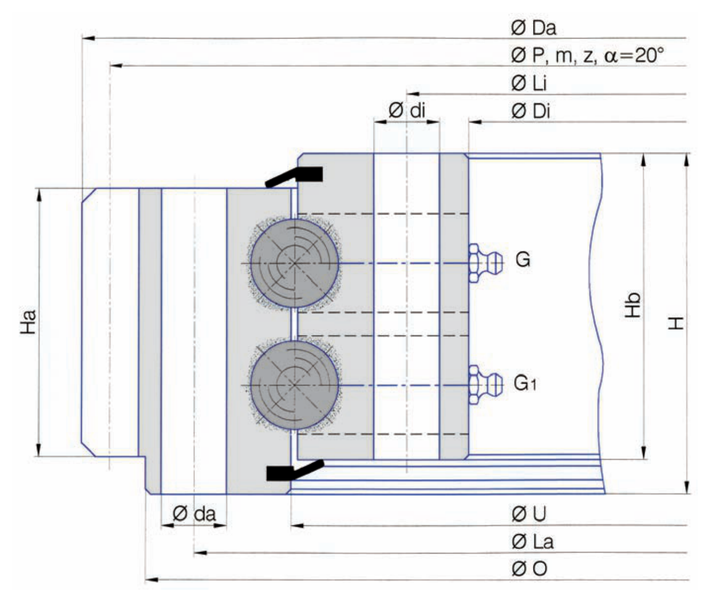 Torriani Gianni E.1079.2.20.12.D.3-V slewing bearing replacement dimensional drawing