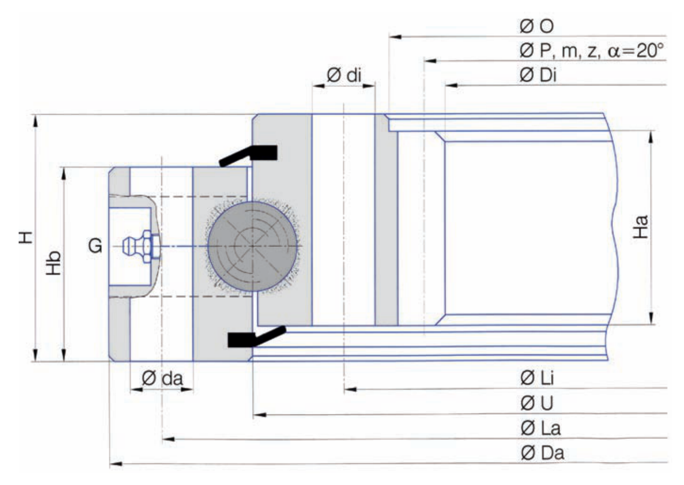 Torriani Gianni I.562.25.15.D.1 slewing bearing replacement dimensional drawing